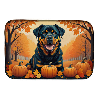 Drying Mat