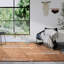  Kollektion 1906 Hand Crafted Hand Loomed Area Rug-109739408