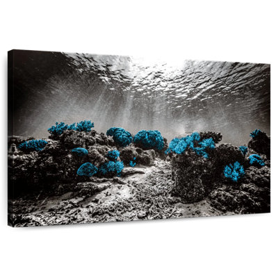 Indonesian Coral Reefs Pop