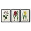 Reproduction encadrée antique de qualité florale antique - prête à être accrochée-69982890-69982888