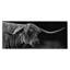Highland Longhorn Portrait, conception de Patricia Reynolds