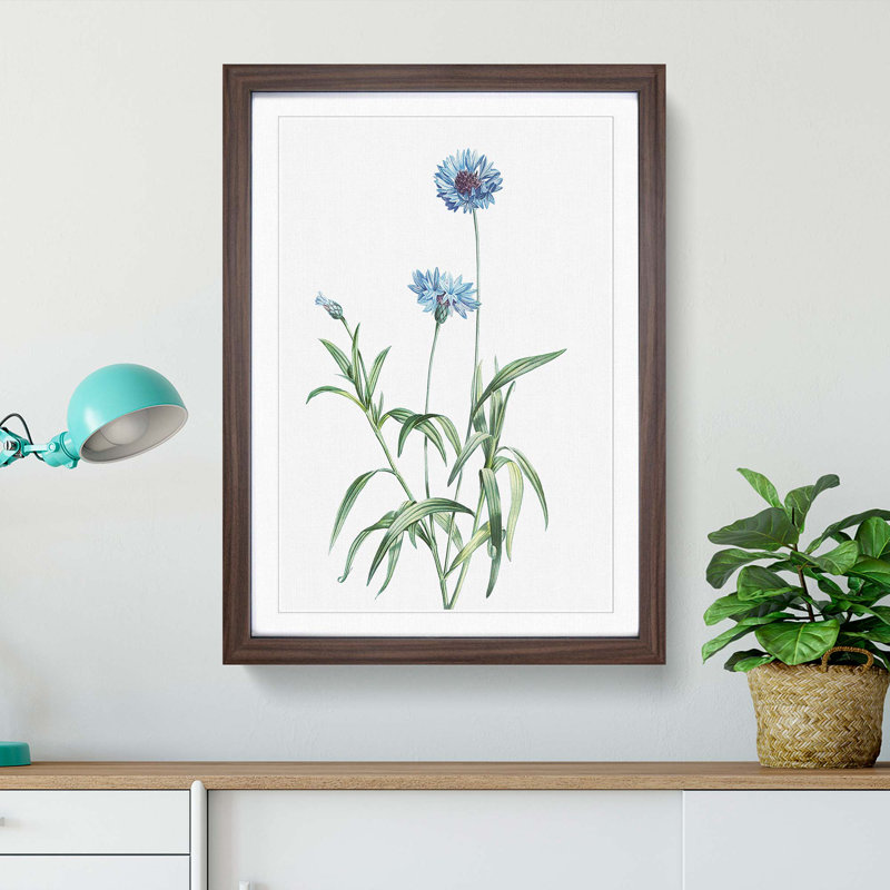Cornflowers in Blue by Pierre-Joseph Redoute - Picture Frame Painting Print, 48cm H x 36cm W x 2cm D, Walnut Framed