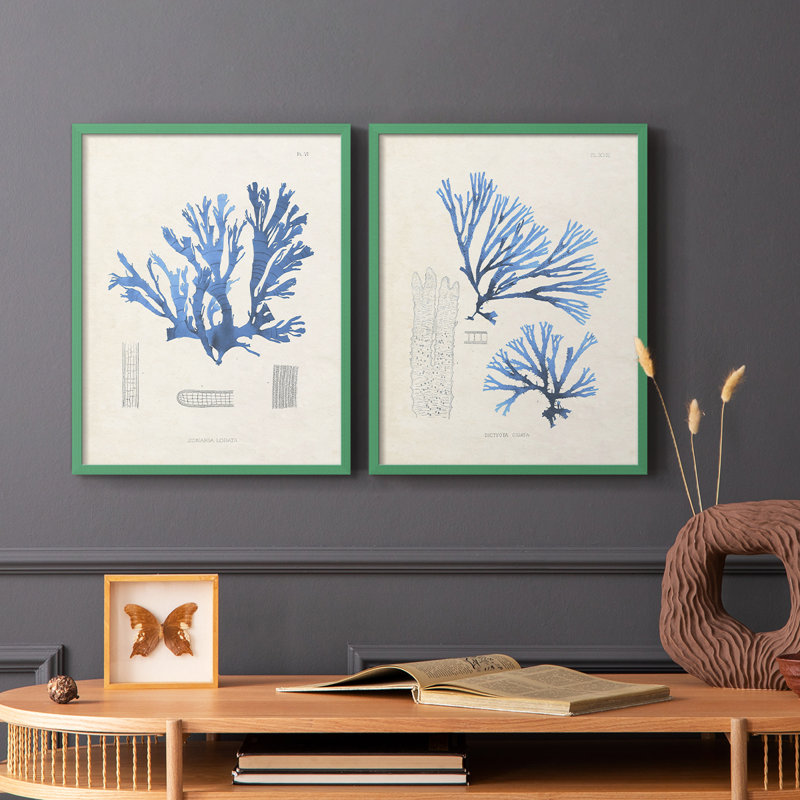 Algue bleue bleue - reproduction encadrée de qualité supérieure - prête à être accrochée - aucun clou requis - aucun clou requis