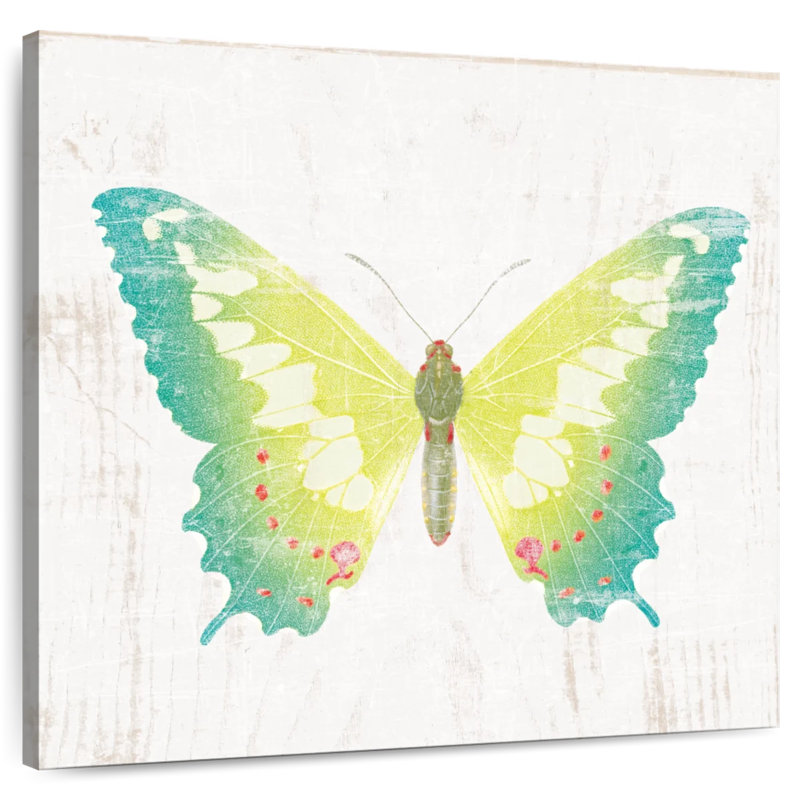 Crowle White Barn Butterflies III