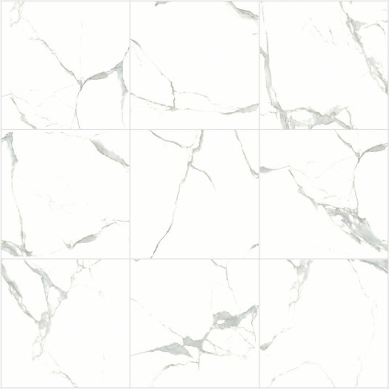 Carreau de pierre poli de style Pierre 24 po x 24 po calacatta