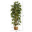 75'' Faux Bamboo Tree in Bamboo Planter