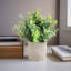 2 pièces Simulation en pot de fleurs artificielles décoratives petit bonsaï, plante artificielle en pot