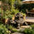 19'' Turtle Garden Statue
