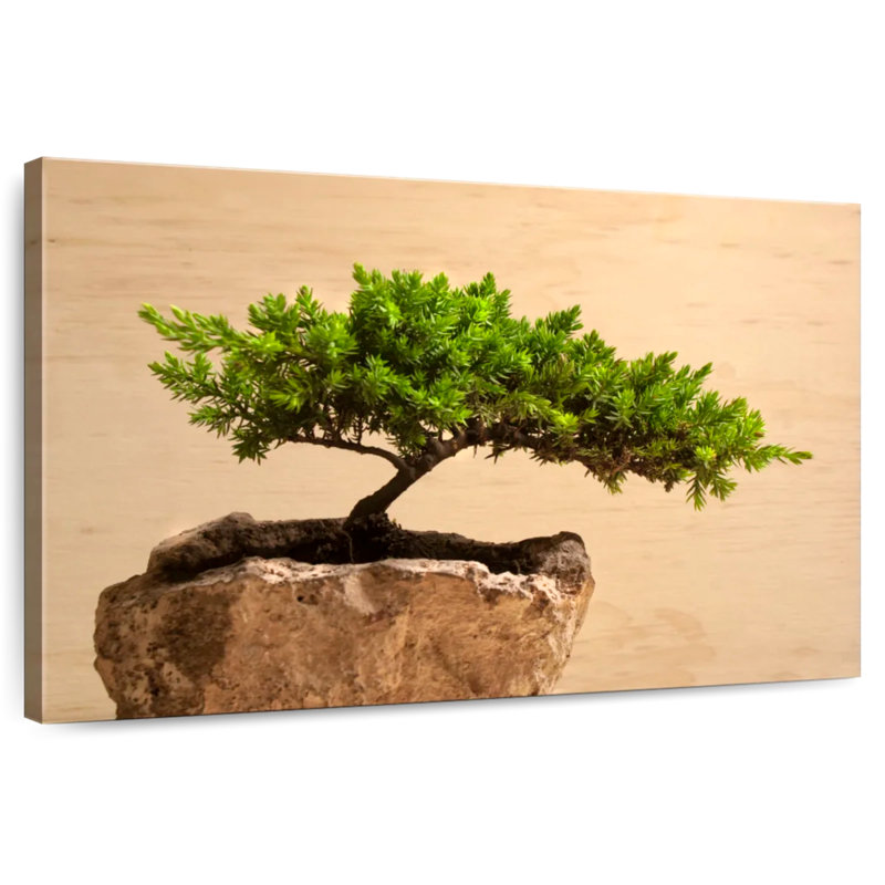 Harnek Bonsai Tree, 24" H x 36" W