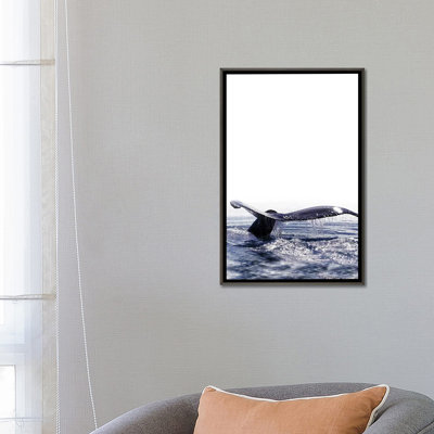 " Whale Song I Iceland " by Monika Strigel