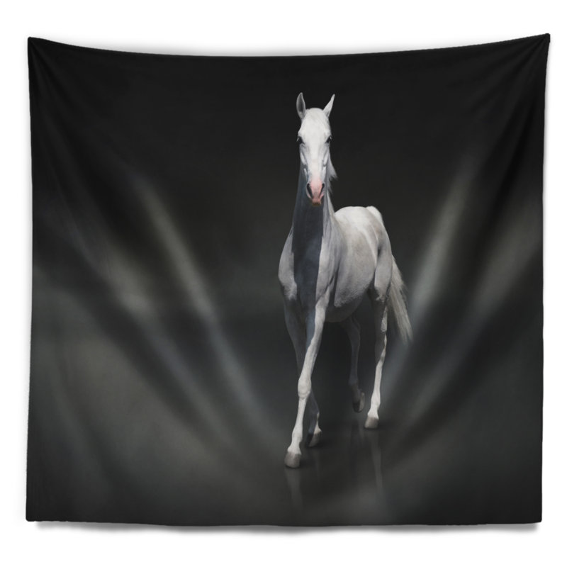Cheval noir isolé sur une tapisserie noire, H 32 po x l 39 po