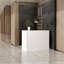 Bureau de réception moderne avec rangement et design polyvalent-108831528