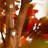 10ft. Autumn Ficus Artificial Fall Tree-271910621-271910620