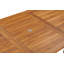 Table de salle à manger extensible Celise