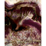 One Last Kiss Print by Blakely Bering