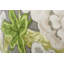 Schumacher x Mary McDonald Bermuda Blossoms Pillow
