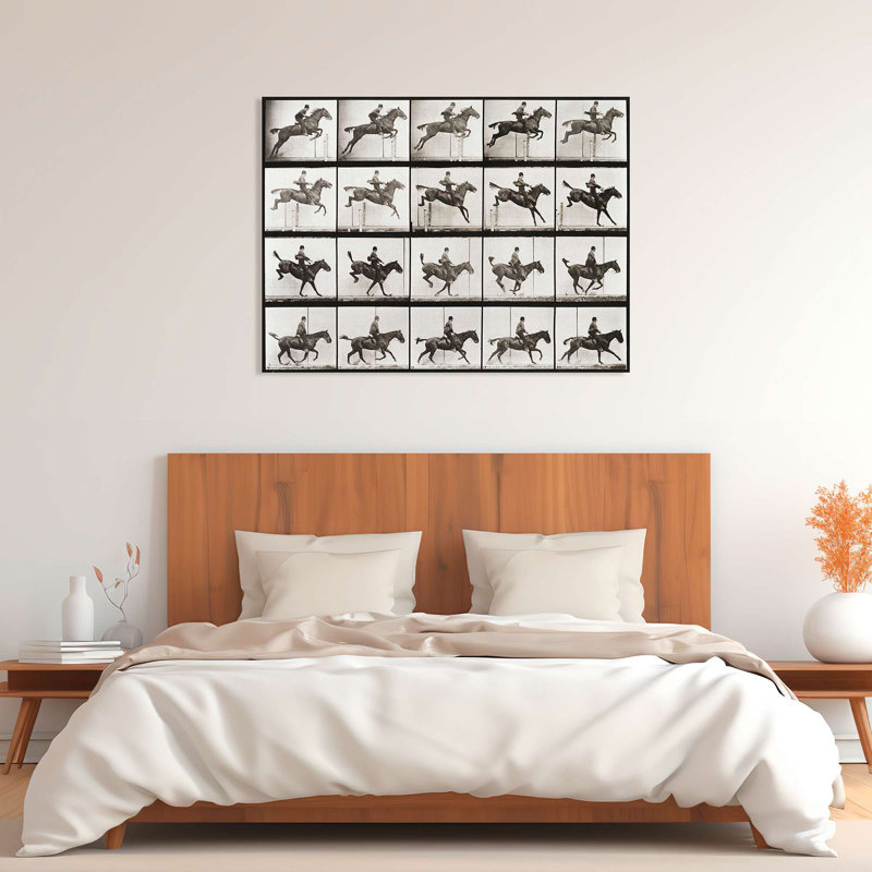 Vintage Photograph: Animal Locomotion, Plate 637 by Eadweard Muybridge - Wrapped Canvas Print, 90cm H x 120cm W
