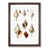 Walnut Framed