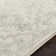Machine Woven Beige/Black/Grey Indoor Rug