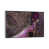 Silver Frame Canvas
