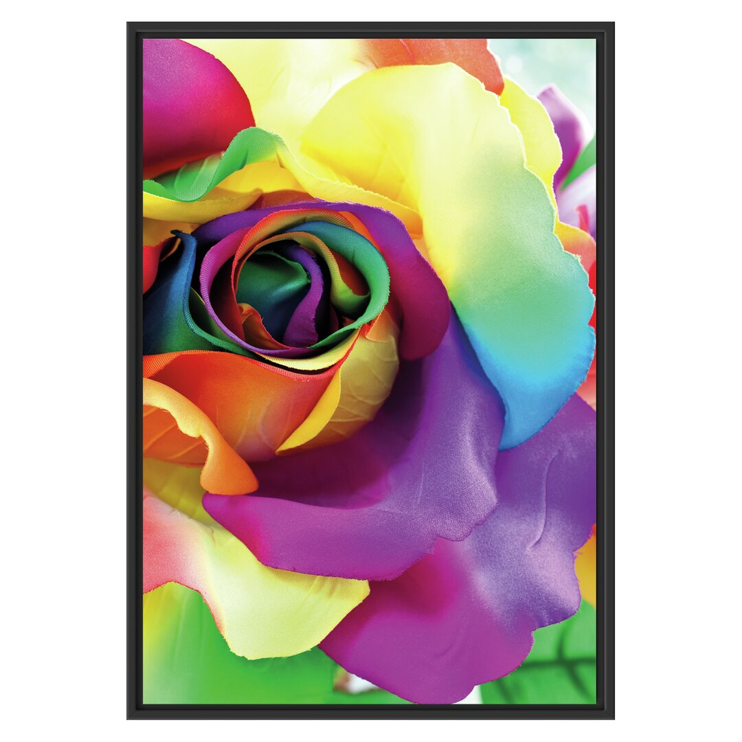 Gerahmtes Wandbild Bunte Rosen