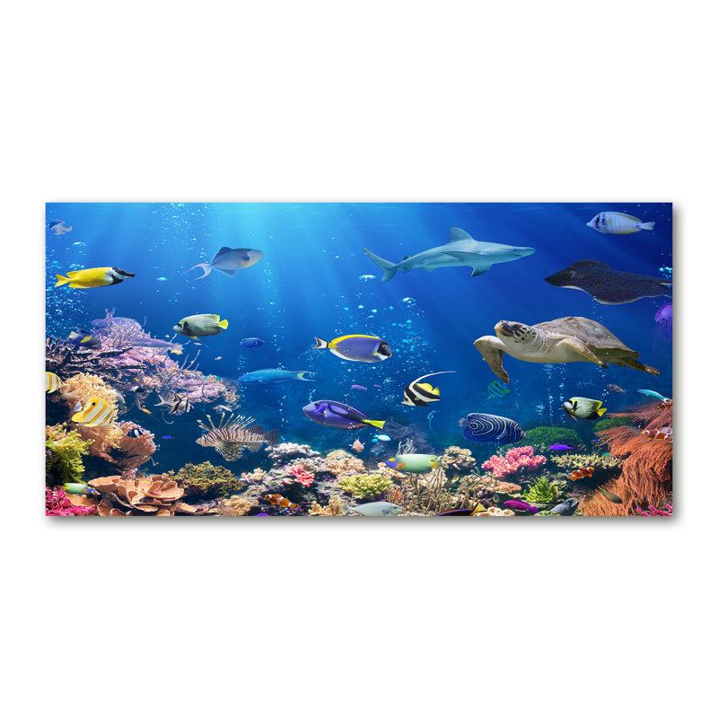 Coral Reef - Wrapped Canvas Print