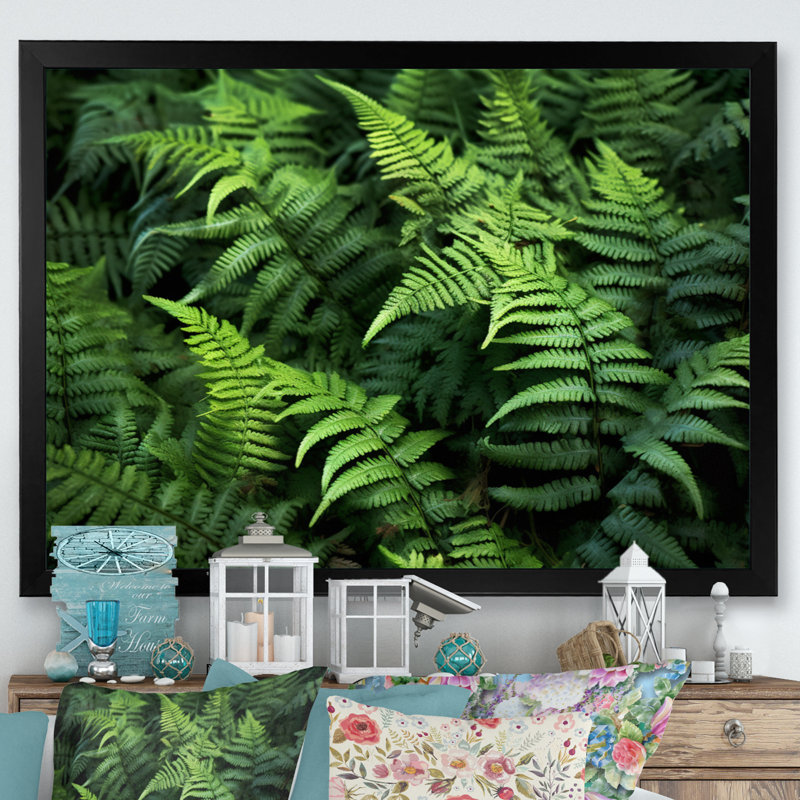 «Green Fern Scenery I» sur toile, H 34 po x l 44 po x P 1 po, Cadre photo noir