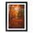 Black Framed selected