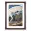 Hooping Crane Bird by John Audubon - Picture Frame Painting Print-55580133-55580134