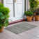 Machine Washable Indoor/Outdoor Claudian ACN1625 Taupe Rug