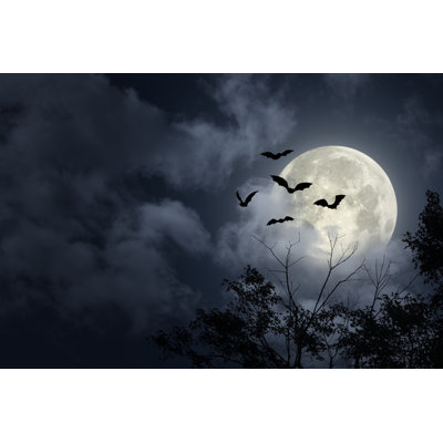 Spooky Halloween Sky by Subjug - Wrapped Canvas Print