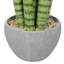 Plante grasse artificielle 10,5 po en pot