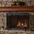 Premium Fireplace Safety Screen