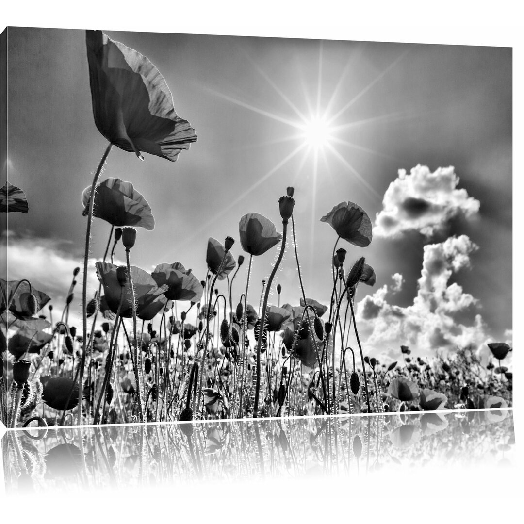 Leinwandbild Mohnblumen in Monochrom