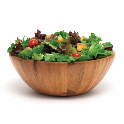 Union Rustic Hristodor Stainless Steel Salad Bowl