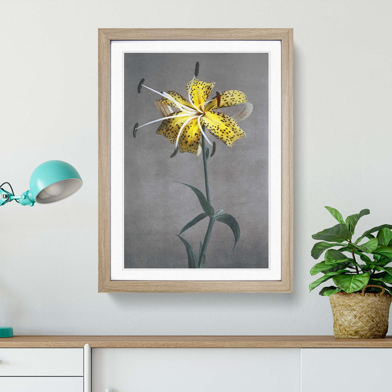 Yellow Lily by Kazumasa Ogawa - Picture Frame Painting Print, Oak Framed, 48cm H x 36cm W x 2cm D