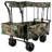 Beach Utility Garden Carts