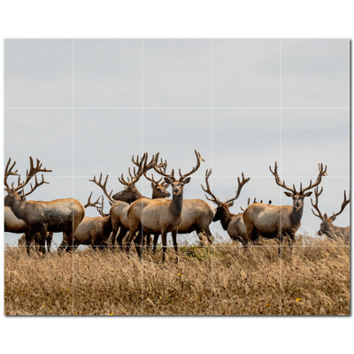 Deer Photo 12'' x 12'' Satin Ceramic Decorative Mural