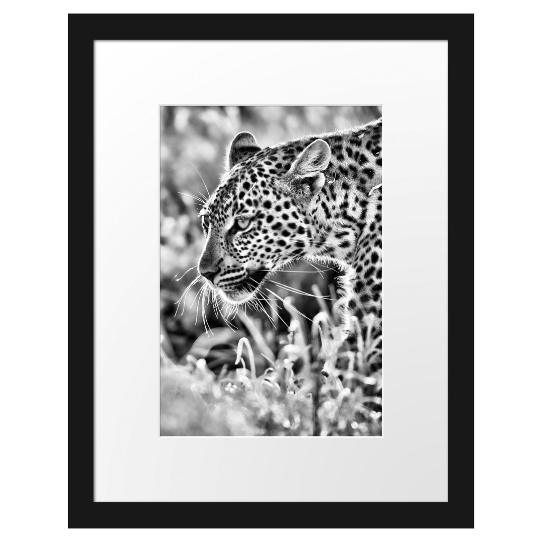 Gerahmtes Poster Jagender Leopard