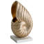 Nautical & Beach Statue