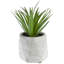 Plante grasse artificielle en pot 6 po