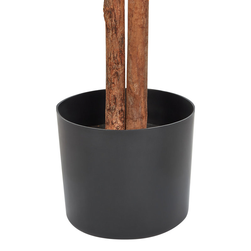 167cm Faux Ficus Tree in Planter