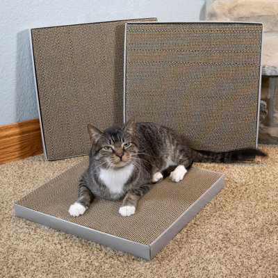 Scratching Post