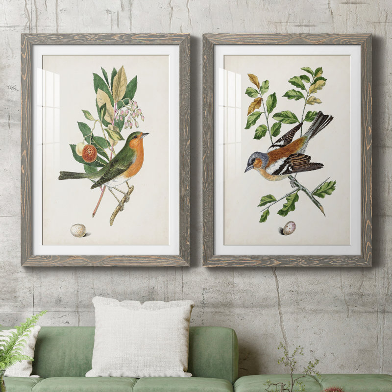 Oiseau antique, botanique et œuf I - ensemble de 2 reproductions d'art sur papier encadré, H 20 po x l 17 po x P 1 po