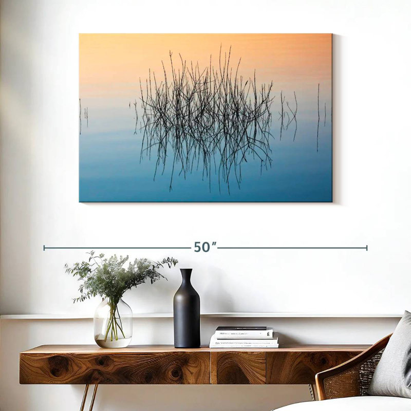 Alvord Marshland Illusions