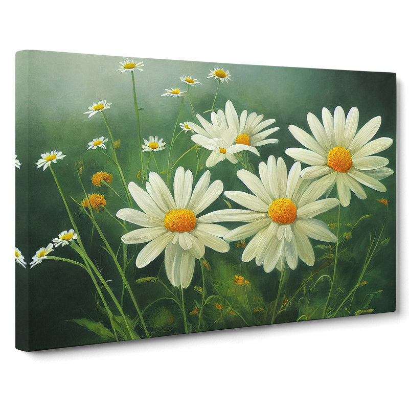 Daisy Flower - Wrapped Canvas, 35cm H x 50cm W x 3cm D