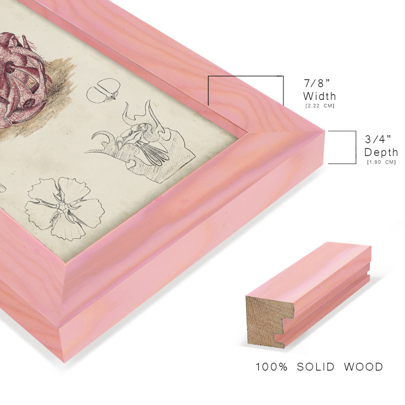 Cactus antique III, impression sur papier, H 7 po x l 5 po x P 1 po, Rose