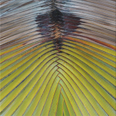 Vert Leta/brun Tapis décoratif