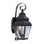 Luminaire suspendu pour lanterne murale d'extérieur 8 pouces 8 lumières - Abat-jour en verre transparent-101230712