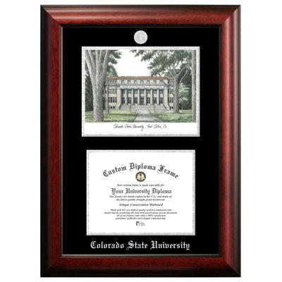 Colorado State University Picture Frame